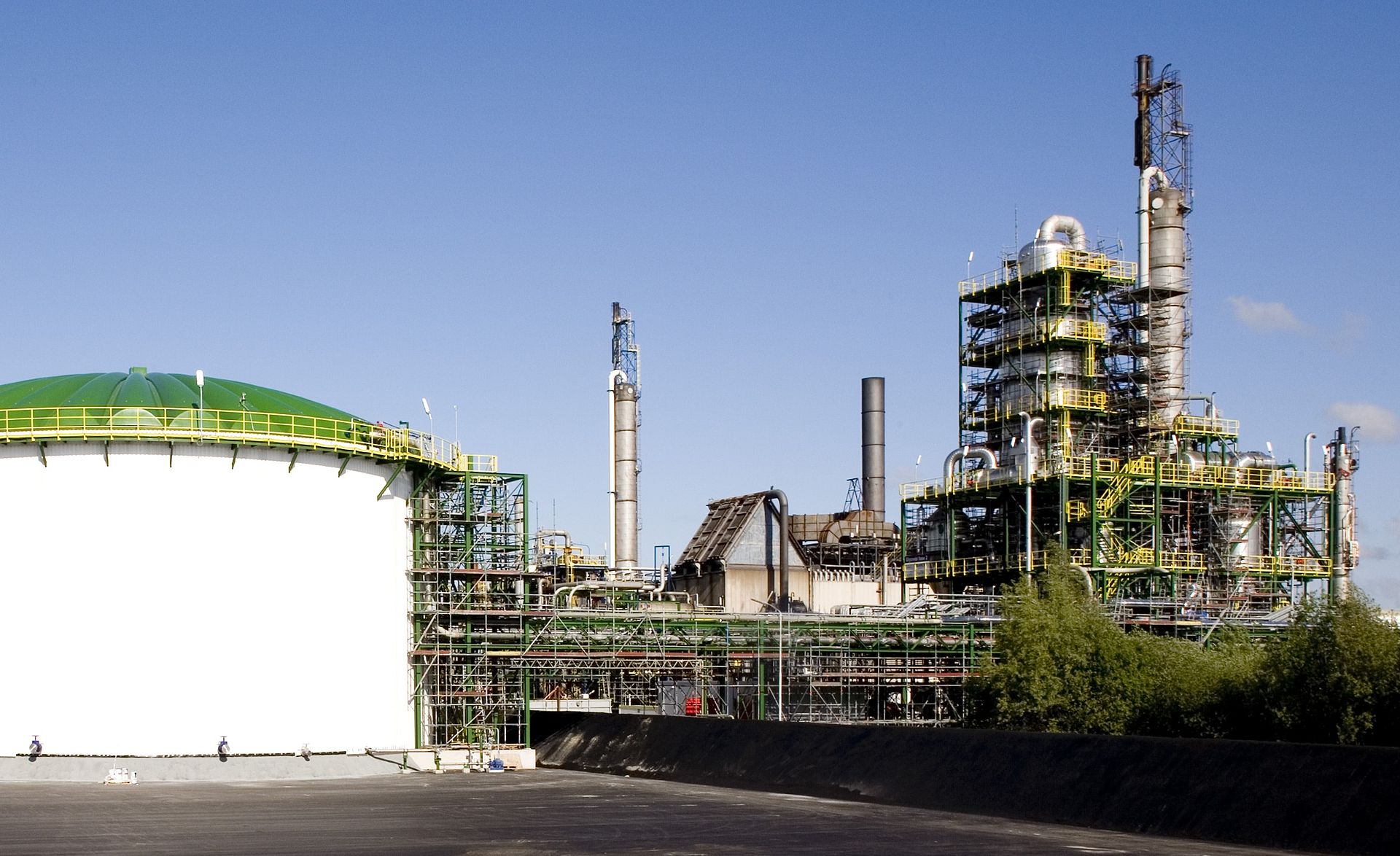 BioMCN_mei_2009.jpg