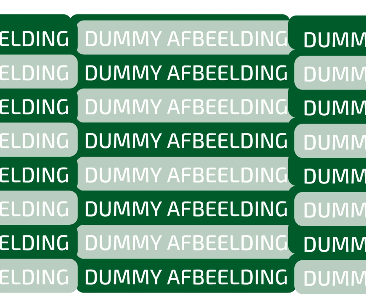 Dummy